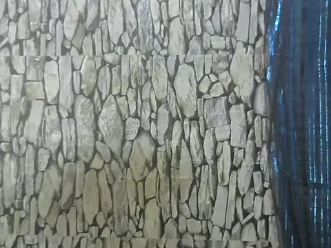 Snapshot of Exotic_indian95 chatting on 03/13/26, 06:53 Exotic indian95 online show from 03/13/26, 06:53