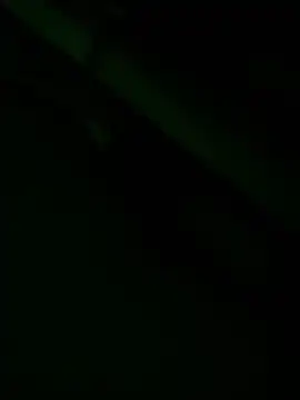 Snapshot of zoodangermind chatting on 05/17/26, 12:08 zoodangermind online show from 05/17/26, 12:08