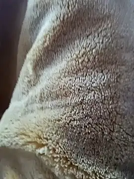 Snapshot of AR7v chatting on 12/15/25, 09:24 AR7v online show from 12/15/25, 09:24