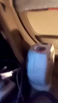 Ldnick69 online show from 07/17/26, 07:04