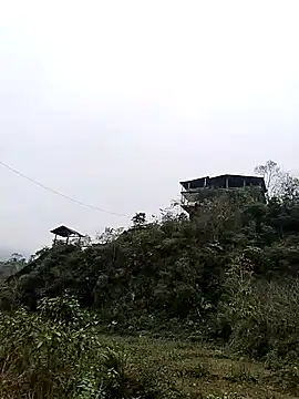 neko-nancy online show from 01/07/26, 07:55