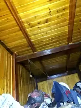 neko-nancy online show from 03/12/26, 01:01