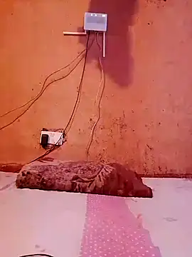 Snapshot of SEXY-NAIMA chatting on 01/10/26, 06:26 SEXY-NAIMA online show from 01/10/26, 06:26