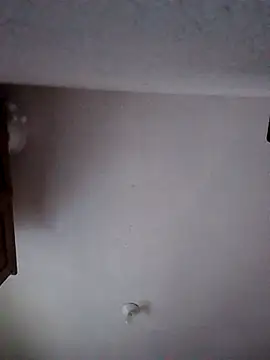 Snapshot of moni_1_ chatting on 01/09/26, 06:49 moni 1 online show from 01/09/26, 06:49