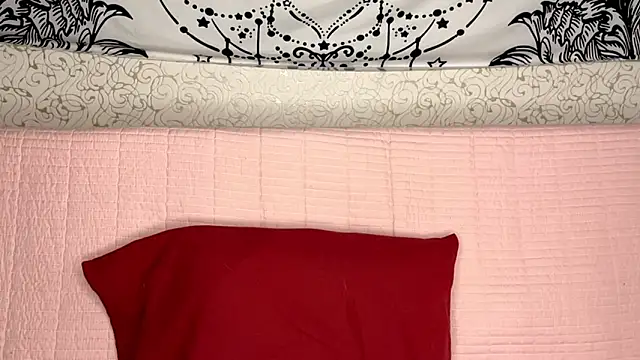 Snapshot of Shining_Robi chatting on 02/19/26, 12:45 Shining Robi online show from 02/19/26, 12:45