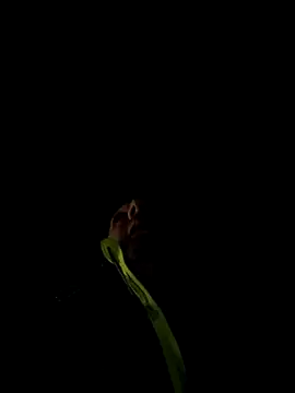 Snapshot of marcoboss chatting on 12/13/25, 10:26 marcoboss online show from 12/13/25, 10:26