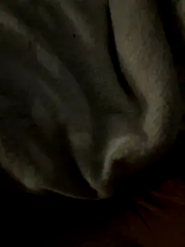 kb20sss online show from 12/14/25, 12:27