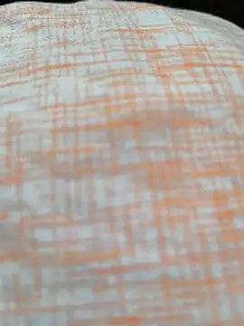 White-Rose-Telugu online show from 12/19/25, 04:14