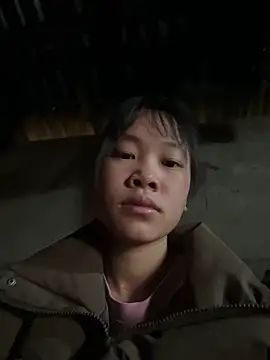 Ocicat-xe online show from 12/14/25, 12:27