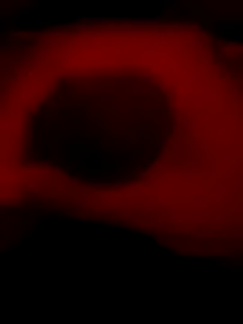 Snapshot of DaveeeIsTheone chatting on 01/06/26, 12:14 DaveeeIsTheone online show from 01/06/26, 12:14