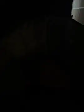 daniele1982 online show from 12/15/25, 04:44