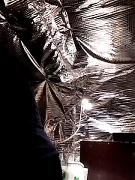 Snapshot of Quebec46 chatting on 02/20/26, 10:10 Quebec46 online show from 02/20/26, 10:10