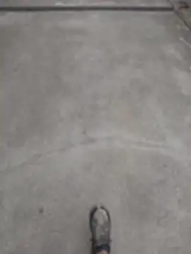 SnappedHagfish online show from 06/17/26, 05:25
