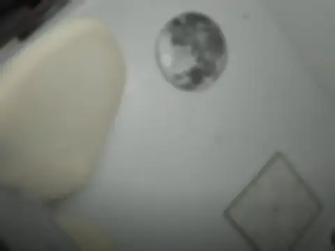 Snapshot of mxshemale_ladyboy chatting on 03/26/26, 05:29 mxshemale ladyboy online show from 03/26/26, 05:29