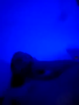 vladopen online show from 01/07/26, 05:21