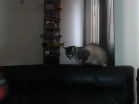 Snapshot of BeautyYoungblond chatting on 02/03/26, 10:26 BeautyYoungblond online show from 02/03/26, 10:26