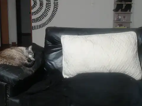 Snapshot of BeautyYoungblond chatting on 03/14/26, 02:39 BeautyYoungblond online show from 03/14/26, 02:39