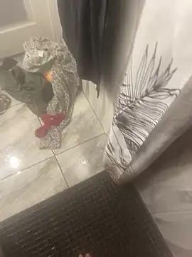 Snapshot of Miguel_667 chatting on 02/09/26, 11:25 Miguel 667 online show from 02/09/26, 11:25