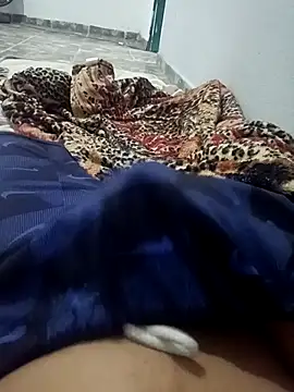 Snapshot of WPS15 chatting on 01/11/26, 01:38 WPS15 online show from 01/11/26, 01:38