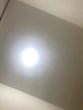 roger rabiit online show from 12/19/25, 01:12