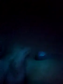 norvisito online show from 12/19/25, 06:20