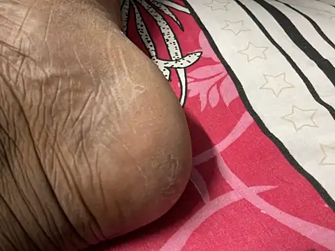 delhi real bull online show from 12/17/25, 04:24