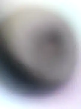 novio-de-la-tarde online show from 04/28/26, 12:20