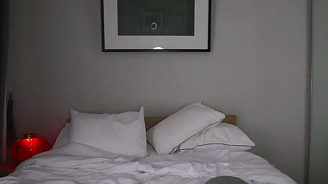 Snapshot of bonjour_nihao_hello chatting on 02/17/26, 03:47 bonjour nihao hello online show from 02/17/26, 03:47