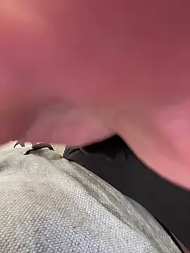 LienalWarplane online show from 03/09/26, 12:20