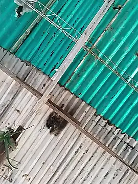 Snapshot of kathe_2910 chatting on 02/10/26, 03:38 kathe 2910 online show from 02/10/26, 03:38