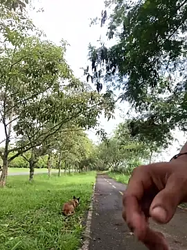 Snapshot of Maicol_xxxx chatting on 03/12/26, 02:01 Maicol xxxx online show from 03/12/26, 02:01