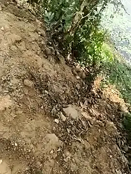 Sheela Sex90 online show from 04/17/26, 05:32