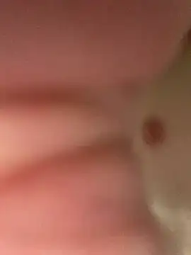 Snapshot of heath82841 chatting on 02/11/26, 11:48 heath82841 online show from 02/11/26, 11:48