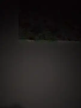 mhhgfffghh online show from 07/02/26, 08:04