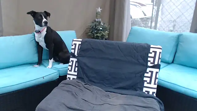 Snapshot of mspatience chatting on 03/06/26, 08:27 mspatience online show from 03/06/26, 08:27