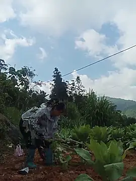 Hiniyk2 online show from 05/17/26, 02:09