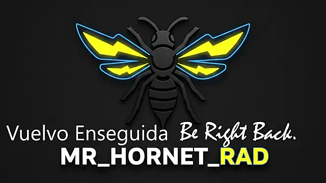 s hornet online show from 05/04/26, 01:18