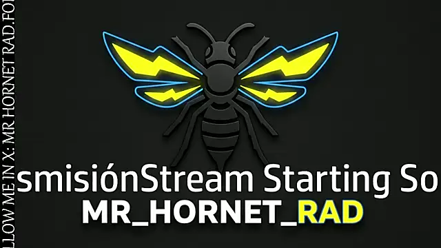 Snapshot of s_hornet chatting on 05/18/26, 11:21 s hornet online show from 05/18/26, 11:21