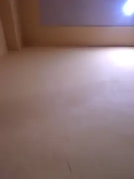 Snapshot of Sakshi-Aditi chatting on 01/18/26, 09:13 Sakshi-Aditi online show from 01/18/26, 09:13