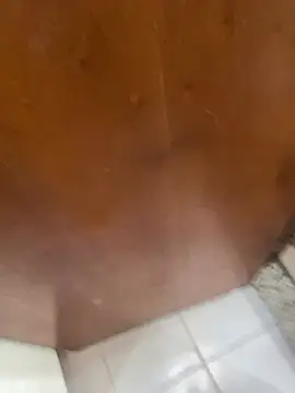 Snapshot of jeanramon01 chatting on 03/20/26, 07:30 jeanramon01 online show from 03/20/26, 07:30