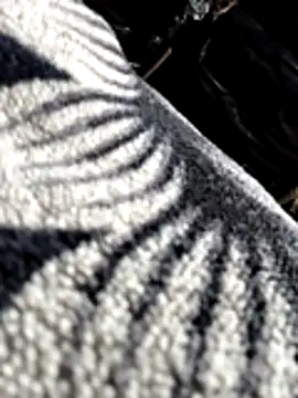 Snapshot of Bhavna8080 chatting on 02/20/26, 08:20 Bhavna8080 online show from 02/20/26, 08:20