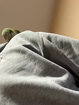 Snapshot of Andres56ojh chatting on 02/14/26, 11:01 Andres56ojh online show from 02/14/26, 11:01