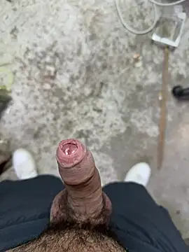 plutarco124 online show from 05/24/26, 05:07