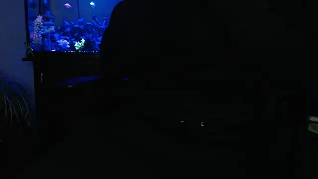 EspanolVato online show from 04/28/26, 08:19