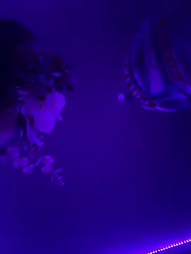 Snapshot of inconito-sex chatting on 01/10/26, 06:37 inconito-sex online show from 01/10/26, 06:37