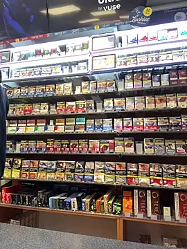 Snapshot of Dominic2295 chatting on 02/17/26, 05:04 Dominic2295 online show from 02/17/26, 05:04