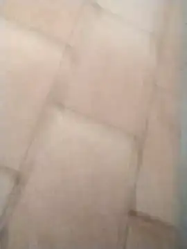 Snapshot of pikademel018 chatting on 02/28/26, 01:56 pikademel018 online show from 02/28/26, 01:56