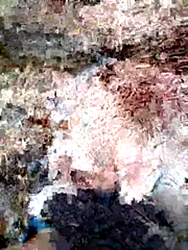 Snapshot of ParejaSutra69 chatting on 01/08/26, 10:56 ParejaSutra69 online show from 01/08/26, 10:56