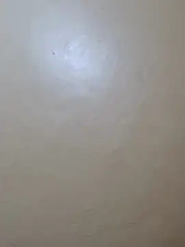 Snapshot of TRACYTOTO26 chatting on 02/17/26, 03:58 TRACYTOTO26 online show from 02/17/26, 03:58