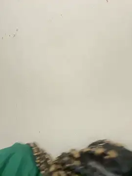 diosa sofia19 online show from 04/06/26, 02:31